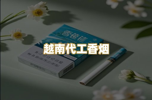 福建云霄精仿